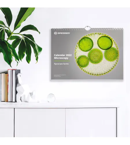 Календарь BRESSER 2022 Микроскопия