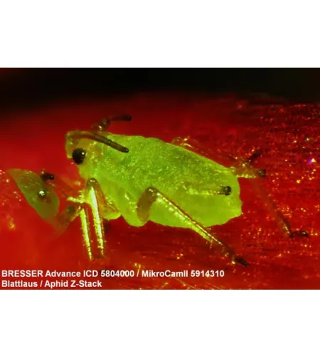 Стереомикроскоп Bresser Advance ICD 10X-160X Zoom