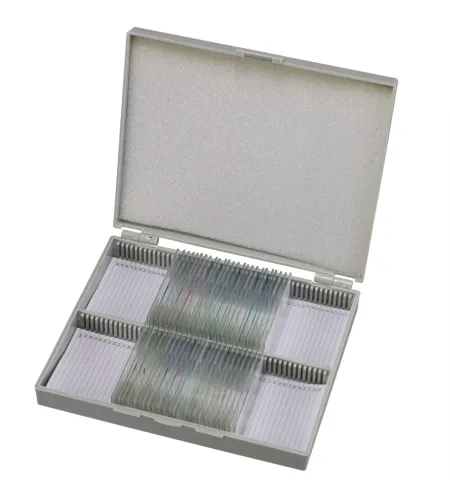 Подготовленные слайды Bresser: гистология