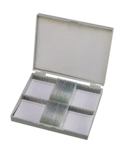 Parengtos skaidrės: 50 vnt Box BRESSER