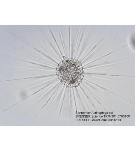 Микроскоп Bresser Science TRM 301