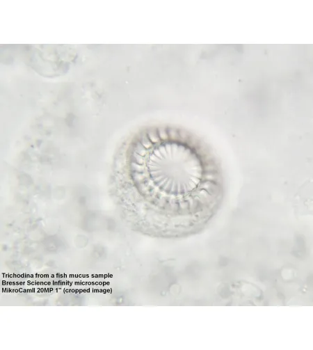 Микроскоп Bresser Science Infinity