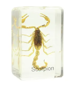 Подготовленная горка - скорпион, Omegon