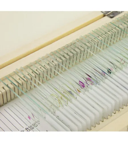 Подготовленный набор слайдов, 40 слайдов в деревянном ящике, Omegon