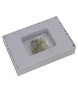 Набор ископаемых, Omegon