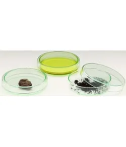 Windaus Petri dishes, 60x15mm, glass with lid