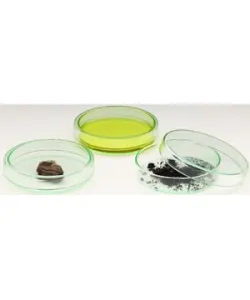 Windaus Petri dishes, 60x15mm, glass with lid