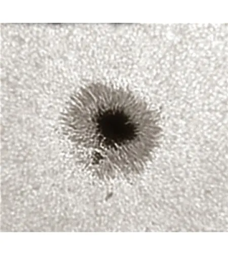 Herschel-клин (солнцезащитный фильтр) LS1.25HW 31.7mm (1.25&