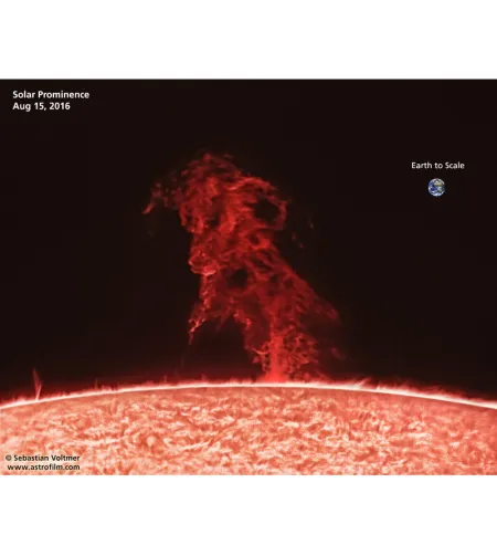 Telescope apochromatic refractor Pro APO AP 104/650 ED OTA + 2'' Field Flattener, Omegon