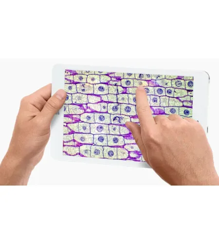 Камера для микроскопа EduPad-2, color, CMOS, 1/2.9", 2MP, USB 2, Tablet 8", Euromex