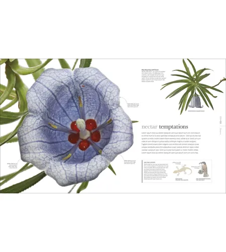 Flora: Inside the Secret World of Plants