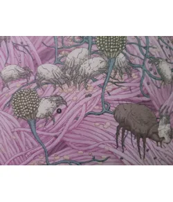 Живой мир под микроскопом