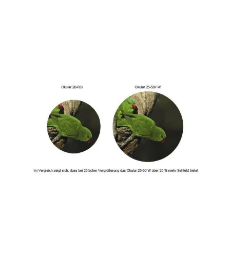 "Swarovski ATS80HD" optinis taikiklis + 25-50X WA priartinantis okuliaras