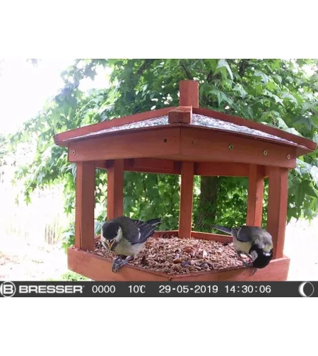 BRESSER SFC-1 Paukščių / mažų gyvūnų fotoaparatas