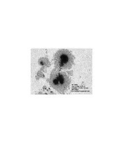 Солнечный фильтр телескопа Astrozap AstroSolar, 90 мм-100 мм