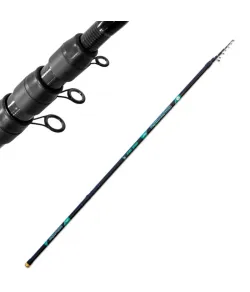 Fishing rod "Rapid Carbon Adjustable" (6m, up to 30gr)