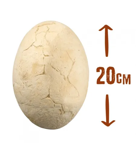 Dino mega kiaušinis, Buki