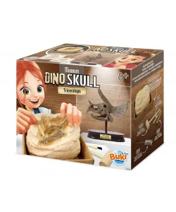 Череп динозавра - Трицератопс, Buki