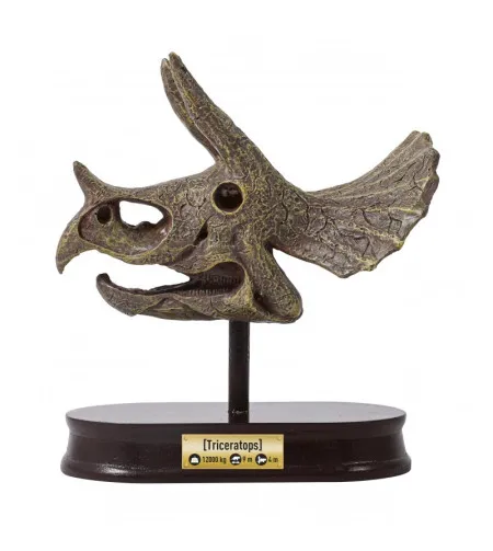 Череп динозавра - Трицератопс, Buki