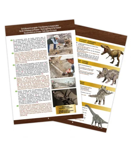 Череп динозавра - Трицератопс, Buki