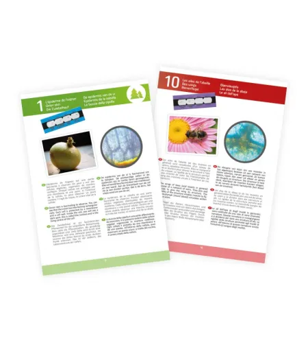 Mikroskopas su 15 eksperimentų Buki