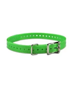 ACC,COLLAR STRAP,3/4",SQ-BUCKLE,TUCK-RING,NICKEL,GREEN