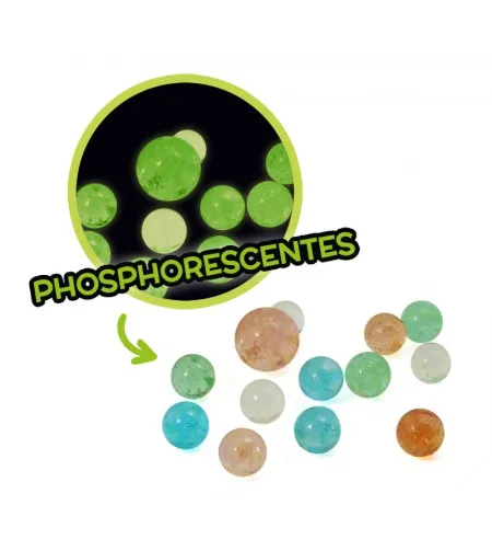 163 rutuliukų dėžutė, Buki