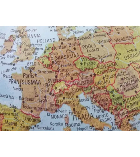 Gaublys Elite (EE) 30cm/12", Nova Rico