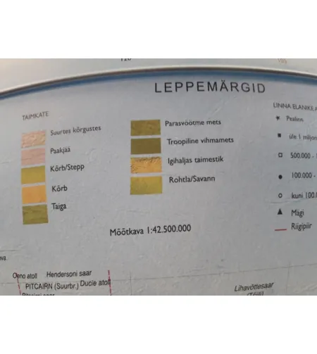 Gaublys Elite (EE) 30cm/12", Nova Rico