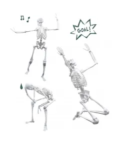 Skeletas 45 cm, Buki