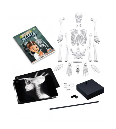 Skeleton 45 cm, Buki