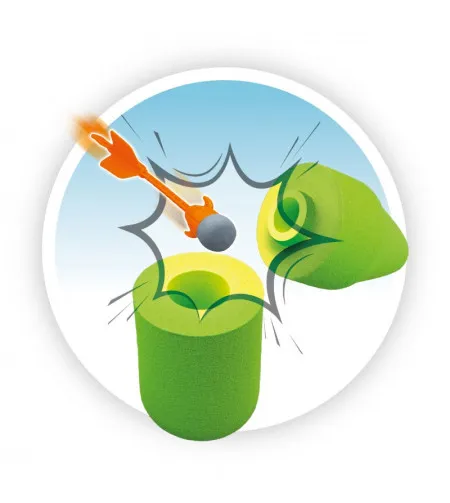 Buki Šaudyklė timpa