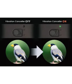 Vixen vaizdo stabilizavimo žiūronai Atera II ED 16x50 WP