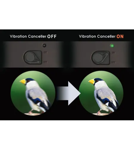 Vixen vaizdo stabilizavimo žiūronai Atera II ED 16x50 WP