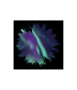 Diskas „Sega Homestar&ldquo; planetariumui – Šiaurės pašvaistė, vaizdingas