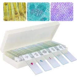 Готовые образцы (препарированные стекла)