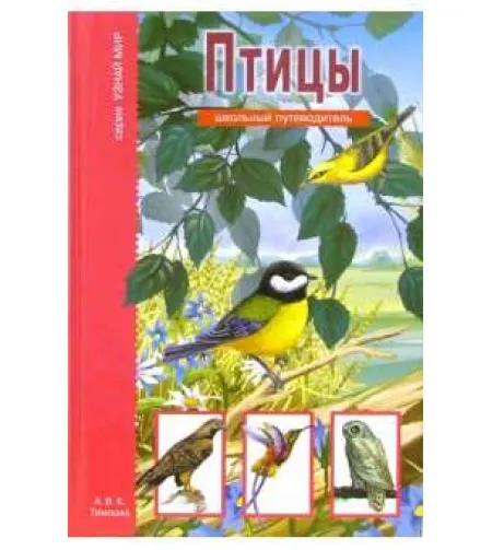Book Птицы. Школьный путеводитель