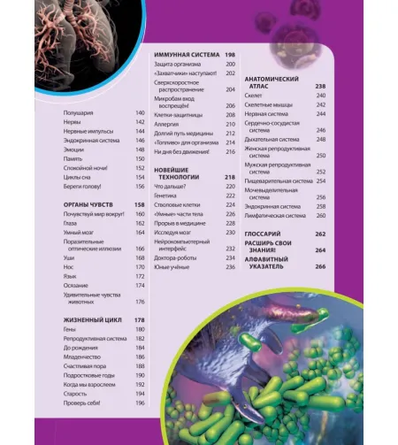 Book, Большая энциклопедия. Тело человека "RU"