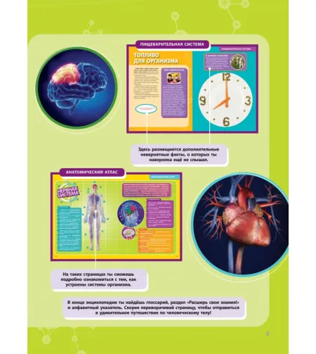 Book, Большая энциклопедия. Тело человека "RU"
