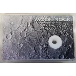 SR-Meteorites meteoritai Tikras Mėnulio meteoritas NWA 10203 XS