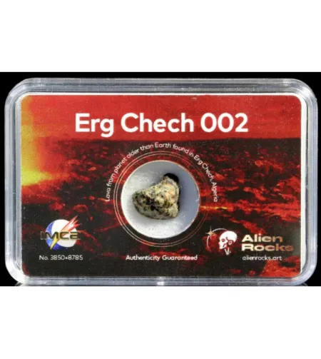Svetimų uolienų meteoritai Erg Chech 002 0,7–0,99 gramo