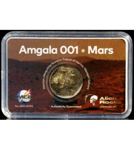 Alien Rocks Amgala 001 Marso meteoritai 0,4–0,69 gramo