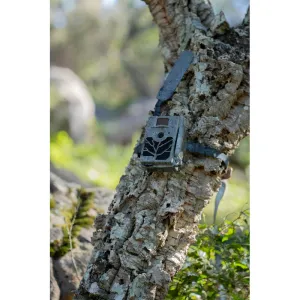 ZEISS laukinės gamtos kamera Secacam 5 100&deg; plataus kampo