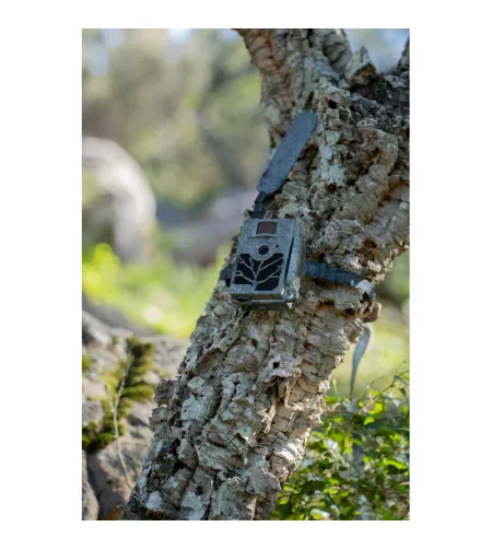 ZEISS laukinės gamtos kamera Secacam 5 100&deg; plataus kampo