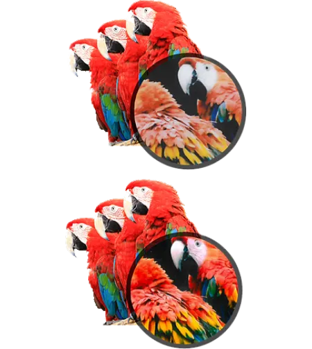 Kodak Mini shot Combo 3 White