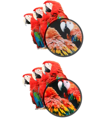 Kodak Mini shot Combo 3 Retro White