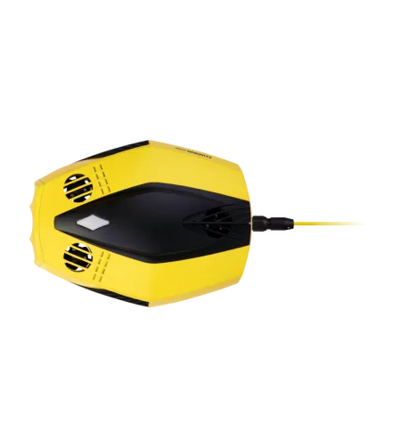 Chasing Dory Flash Pack