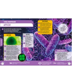 Knyga Mikropasaulis. 250 neįtikėtinų faktų