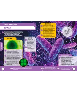 Knyga Mikropasaulis. 250 neįtikėtinų faktų