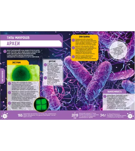 The book Microworld. 250 incredible facts (RU)